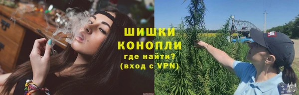 гидра Аркадак