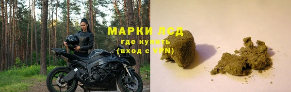 гидра Аркадак