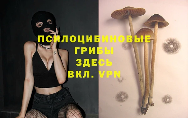 MDMA Армянск