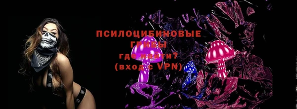 прущая мука Арсеньев