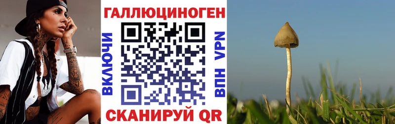 продажа наркотиков  Ельня  Псилоцибиновые грибы Magic Shrooms 