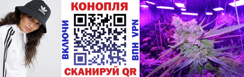 Канабис конопля  продажа наркотиков  Ельня 